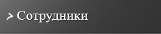 Сотрудники