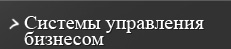 Системы управления бизнесом