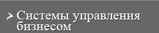Системы управления бизнесом